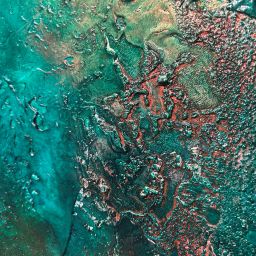 No Two Are Ever The Same